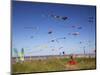 Kites, International Kite Festival, Long Beach, Washington, USA-Jamie & Judy Wild-Mounted Photographic Print