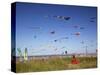 Kites, International Kite Festival, Long Beach, Washington, USA-Jamie & Judy Wild-Stretched Canvas