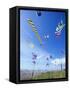 Kites on the Beach, Long Beach, Washington, USA-Merrill Images-Framed Stretched Canvas