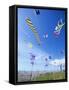 Kites on the Beach, Long Beach, Washington, USA-Merrill Images-Framed Stretched Canvas