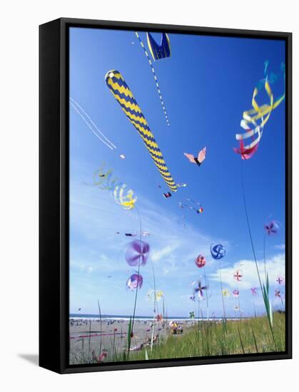 Kites on the Beach, Long Beach, Washington, USA-Merrill Images-Framed Stretched Canvas