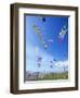 Kites on the Beach, Long Beach, Washington, USA-Merrill Images-Framed Photographic Print