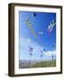 Kites on the Beach, Long Beach, Washington, USA-Merrill Images-Framed Photographic Print