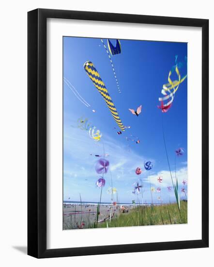 Kites on the Beach, Long Beach, Washington, USA-Merrill Images-Framed Photographic Print