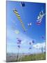 Kites on the Beach, Long Beach, Washington, USA-Merrill Images-Mounted Photographic Print
