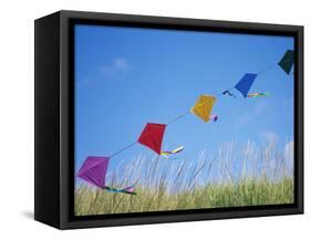 Kites on the Beach, Long Beach, Washington, USA-Merrill Images-Framed Stretched Canvas