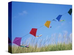 Kites on the Beach, Long Beach, Washington, USA-Merrill Images-Stretched Canvas