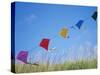 Kites on the Beach, Long Beach, Washington, USA-Merrill Images-Stretched Canvas