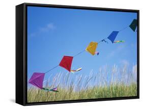 Kites on the Beach, Long Beach, Washington, USA-Merrill Images-Framed Stretched Canvas