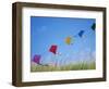 Kites on the Beach, Long Beach, Washington, USA-Merrill Images-Framed Photographic Print