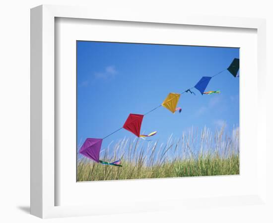 Kites on the Beach, Long Beach, Washington, USA-Merrill Images-Framed Photographic Print