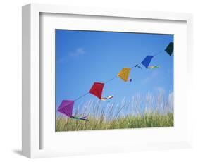 Kites on the Beach, Long Beach, Washington, USA-Merrill Images-Framed Photographic Print