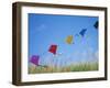 Kites on the Beach, Long Beach, Washington, USA-Merrill Images-Framed Photographic Print