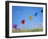 Kites on the Beach, Long Beach, Washington, USA-Merrill Images-Framed Photographic Print