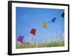 Kites on the Beach, Long Beach, Washington, USA-Merrill Images-Framed Photographic Print