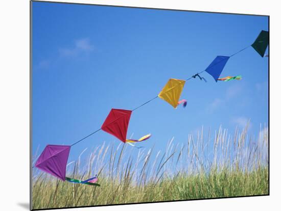 Kites on the Beach, Long Beach, Washington, USA-Merrill Images-Mounted Photographic Print