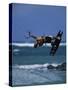 Kitesurfing-null-Stretched Canvas