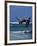 Kitesurfing-null-Framed Photographic Print