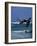 Kitesurfing-null-Framed Photographic Print