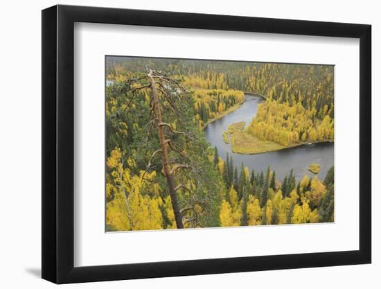 Kitkajoki River, Oulanka National Park, Finland, September 2008. Wwe Indoor Exhibition-Widstrand-Framed Photographic Print