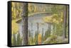 Kitkajoki River, Oulanka National Park, Finland, September 2008-Widstrand-Framed Stretched Canvas