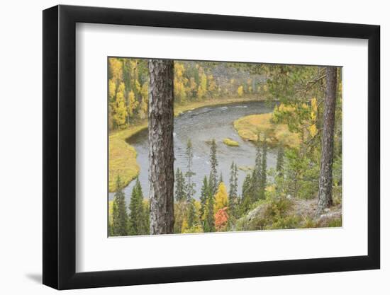 Kitkajoki River, Oulanka National Park, Finland, September 2008-Widstrand-Framed Photographic Print