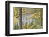 Kitkajoki River, Oulanka National Park, Finland, September 2008-Widstrand-Framed Photographic Print