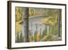 Kitkajoki River, Oulanka National Park, Finland, September 2008-Widstrand-Framed Photographic Print