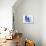 Kitteh Want Floofs Num-Josh Byer-Stretched Canvas displayed on a wall