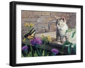 Kitten and Butterfly-Kevin Dodds-Framed Giclee Print