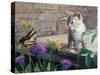 Kitten and Butterfly-Kevin Dodds-Stretched Canvas