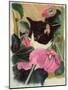 Kitten and Hollyhocks-Anne Robinson-Mounted Giclee Print