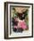 Kitten and Hollyhocks-Anne Robinson-Framed Giclee Print