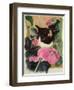 Kitten and Hollyhocks-Anne Robinson-Framed Giclee Print