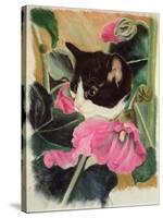 Kitten and Hollyhocks-Anne Robinson-Stretched Canvas