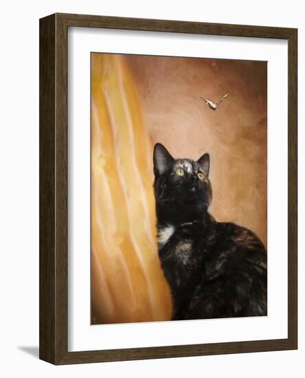 Kitten and the Butterfly-Jai Johnson-Framed Giclee Print