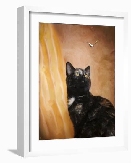 Kitten and the Butterfly-Jai Johnson-Framed Giclee Print