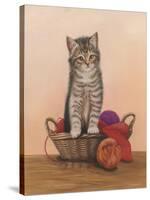 Kitten and Wool Basket-Janet Pidoux-Stretched Canvas