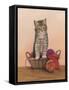 Kitten and Wool Basket-Janet Pidoux-Framed Stretched Canvas