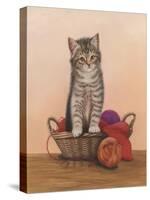 Kitten and Wool Basket-Janet Pidoux-Stretched Canvas