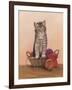 Kitten and Wool Basket-Janet Pidoux-Framed Giclee Print