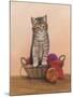 Kitten and Wool Basket-Janet Pidoux-Mounted Giclee Print