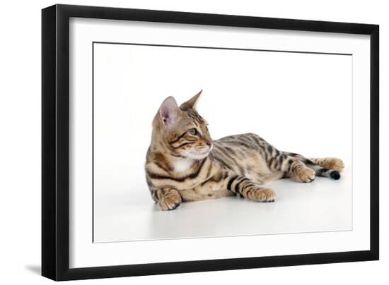 Photographic Print, , large