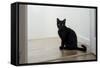 Kitten Black 1-Charles Bowman-Framed Stretched Canvas