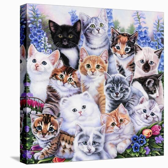 Kitten Collage-Jenny Newland-Stretched Canvas