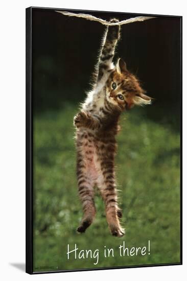 Kitten - Hang In There-null-Framed Poster