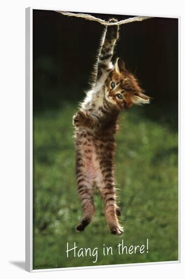 Kitten - Hang In There-null-Framed Poster