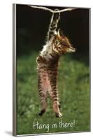 Kitten - Hang In There-null-Framed Poster