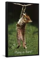 Kitten - Hang In There-null-Framed Poster