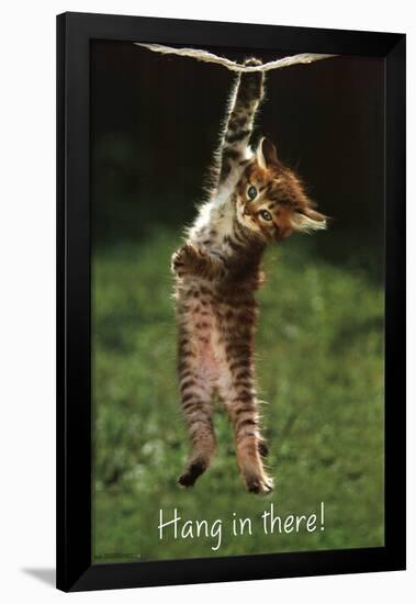 Kitten - Hang In There-null-Framed Poster